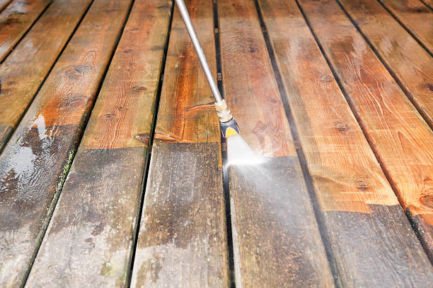 Animal Enclosure Cleaning in Humboldt Hill, CA